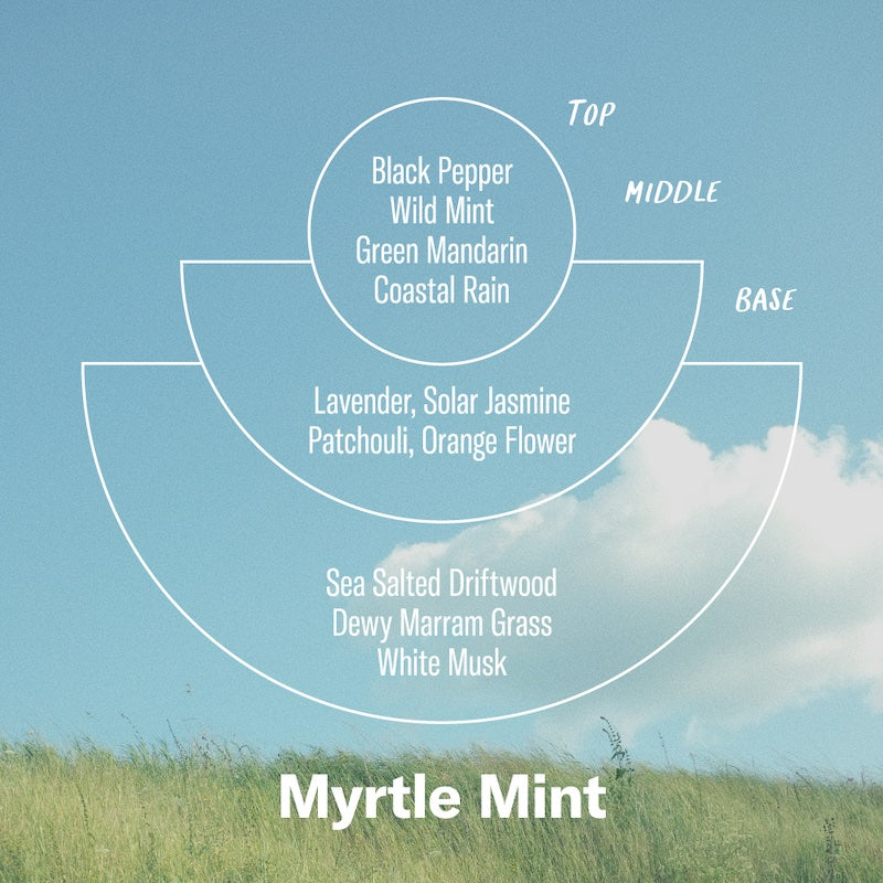 Myrtle Mint  -  Incense Cones