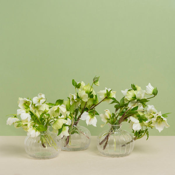 Posy Glass Bud Vase